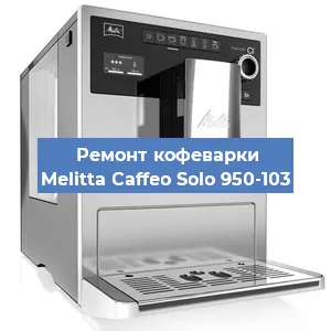 Ремонт кофемашины Melitta Caffeo Solo 950-103 в Ростове-на-Дону